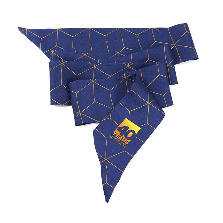 Designer Skinny Silk Scarf